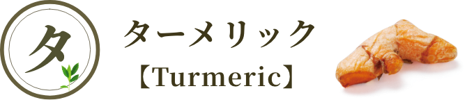 ターメリック【Turmeric】