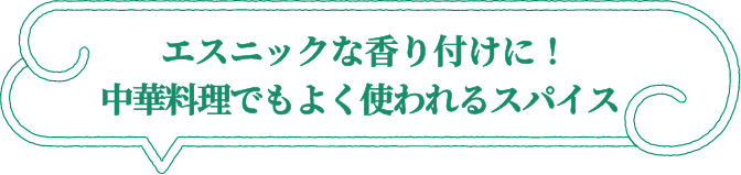 エスニックな香り付けに！中華料理でもよく使われるスパイス