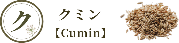 クミン【Cumin】