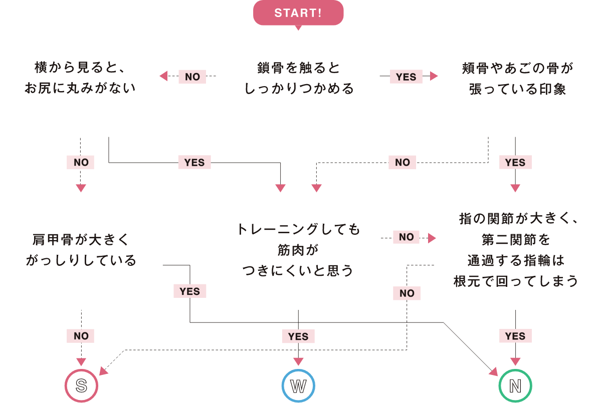 骨格診断YES/Noチャート