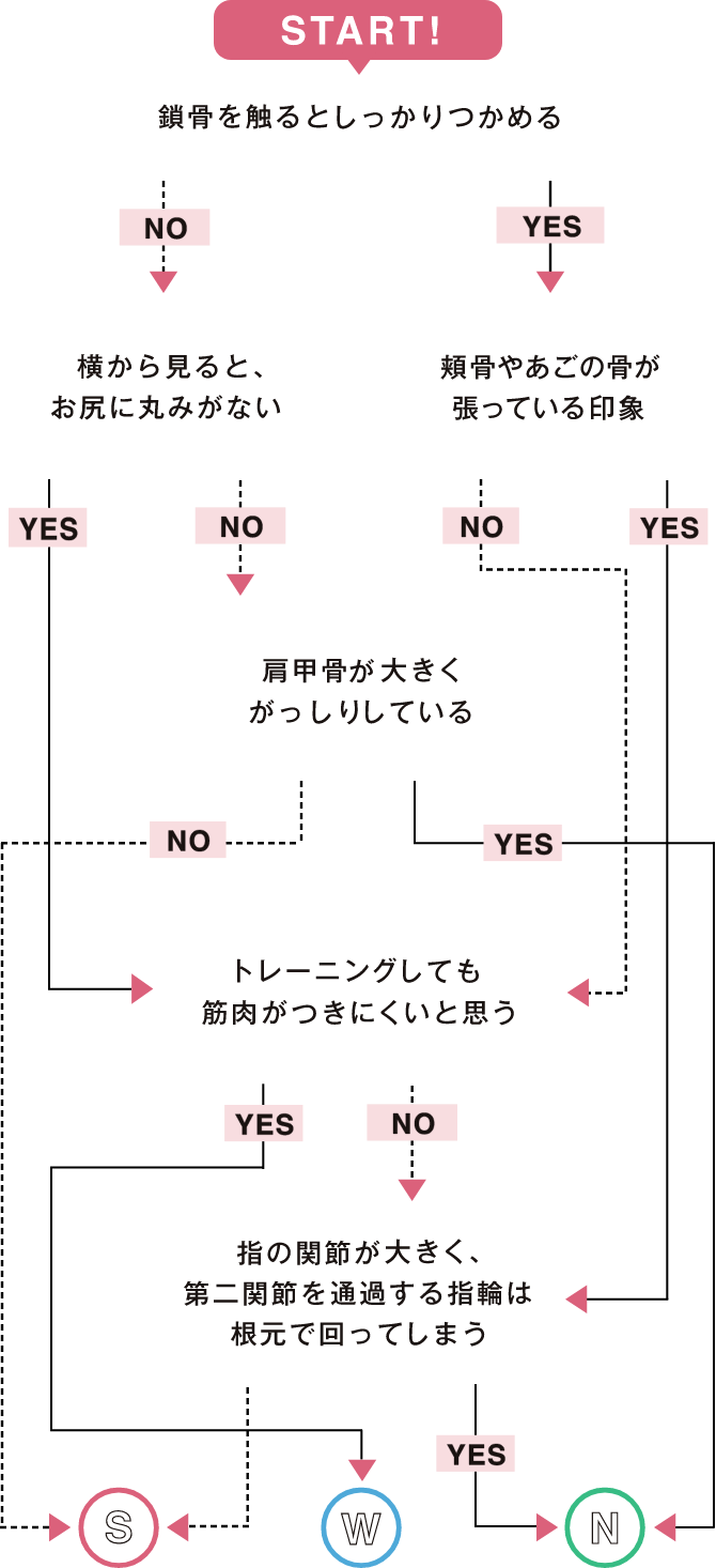 骨格診断YES/Noチャート