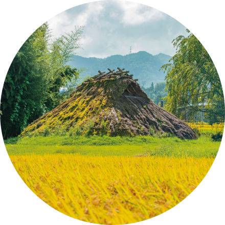 竪穴式住居