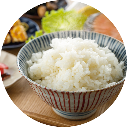 ご飯