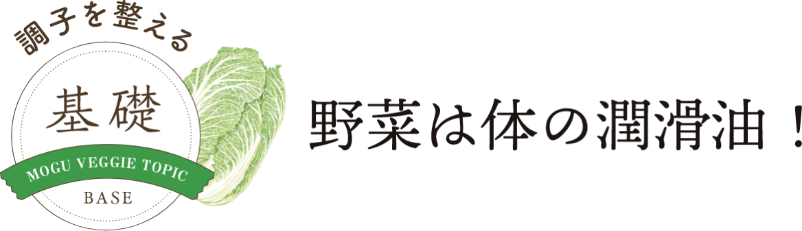 調子を整える 基礎 野菜は体の潤滑油！
