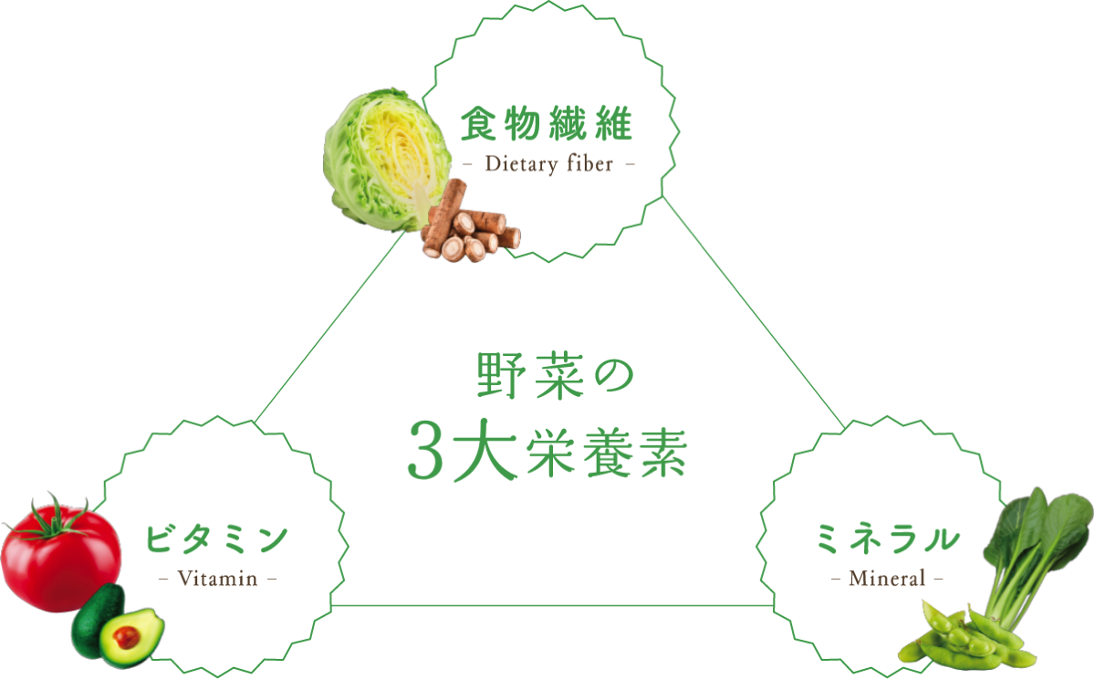 野菜の3大栄養素