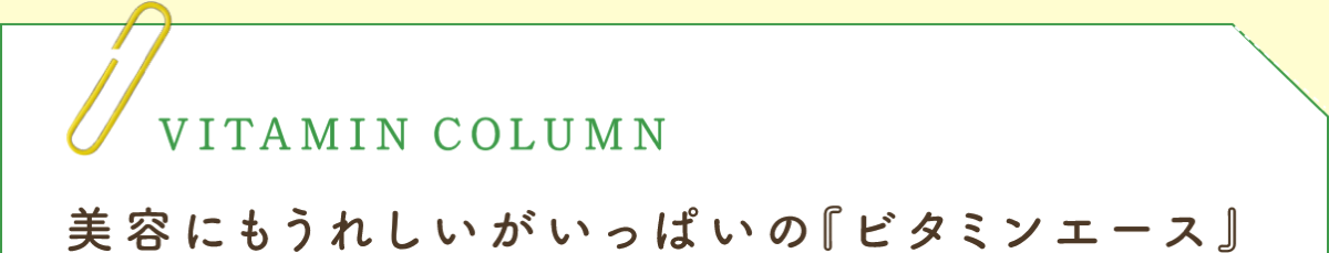 VITAMIN COLUMN 美容にもうれしいがいっぱいの『ビタミンエース』