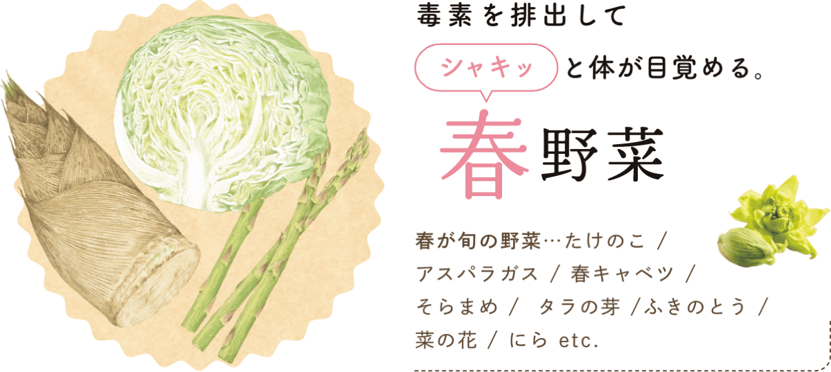 毒素を排出してシャキッと体が目覚める。 春野菜 春は、環境の変化や昼夜の寒暖差によって不調になりやすい季節。この時期に旬を迎える野菜は、土から芽を出すものが多く、苦味があるのも特徴です。この苦味は「植物性アルカロイド」と呼ばれる成分で、体に溜まった老廃物を排出してくれます。また、食物繊維が豊富な野菜も多いため、春野菜を食べると体を内側からすっきりと目覚めさせられます。春が旬の野菜…たけのこ / アスパラガス / 春キャベツ / そらまめ / タラの芽 / ふきのとう / 菜の花 / にら etc.