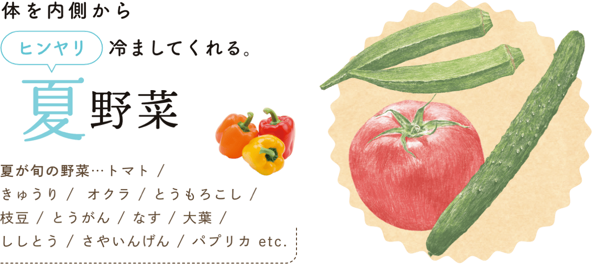 体を内側からヒンヤリ冷ましてくれる。 夏野菜 夏が旬の野菜…トマト / きゅうり /  オクラ / とうもろこし / 枝豆 / とうがん / なす / 大葉 / ししとう / さやいんげん / パプリカ etc.