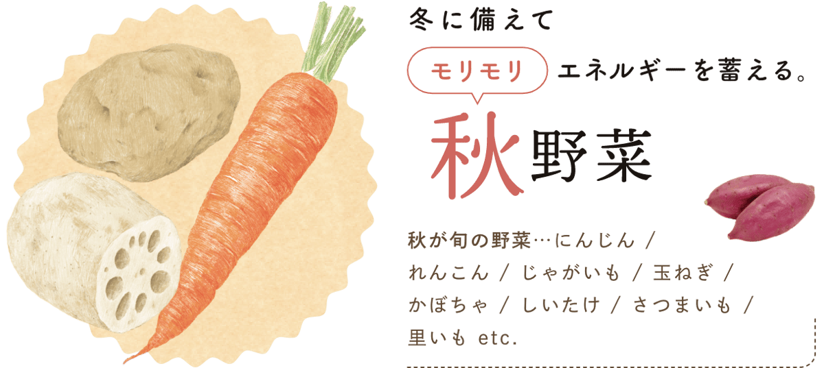 冬に備えてモリモリエネルギーを蓄える。 秋野菜 秋が旬の野菜…にんじん / れんこん / じゃがいも / 玉ねぎ / かぼちゃ / しいたけ / さつまいも / 里いも etc.