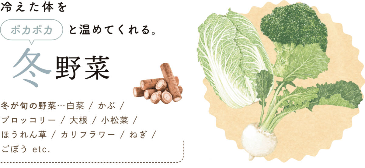 冷えた体をポカポカと温めてくれる。 冬野菜 冬が旬の野菜…白菜 / かぶ / ブロッコリー / 大根 / 小松菜 / ほうれん草 / カリフラワー / ねぎ / ごぼう etc.