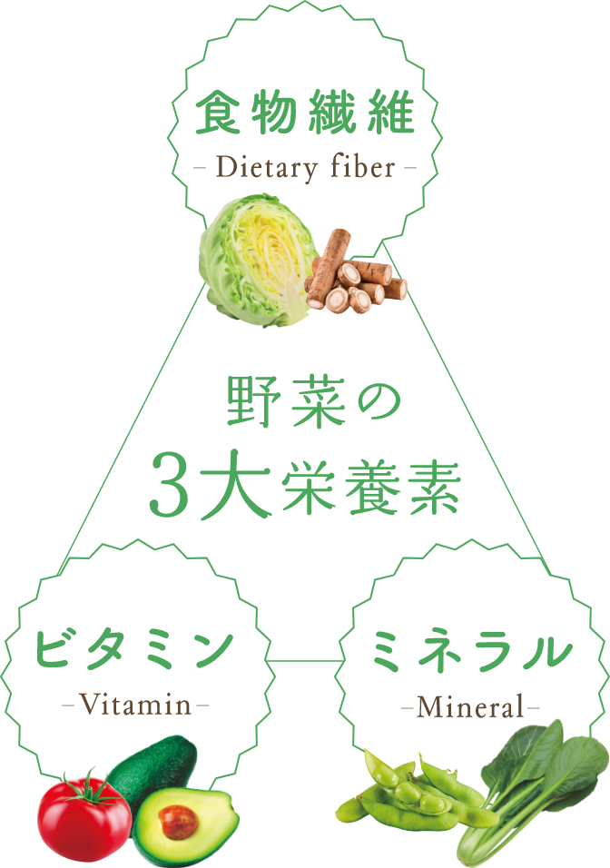野菜の3大栄養素