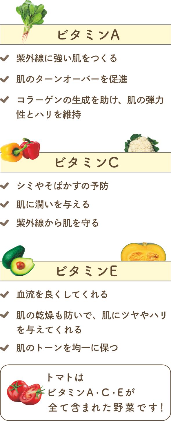 ビタミンA ✔ 紫外線に強い肌をつくる ✔ 肌のターンオーバーを促進 ✔ コラーゲンの生成を助け、肌の弾力性とハリを維持 ビタミンC ✔ シミやそばかすの予防 ✔ 肌に潤いを与える ✔ 紫外線から肌を守る ビタミンE ✔ 血流を良くしてくれる ✔ 肌の乾燥も防いで、肌にツヤやハリを与えてくれる ✔ 肌のトーンを均一に保つ トマトはビタミンA・C・Eが全て含まれた野菜です！