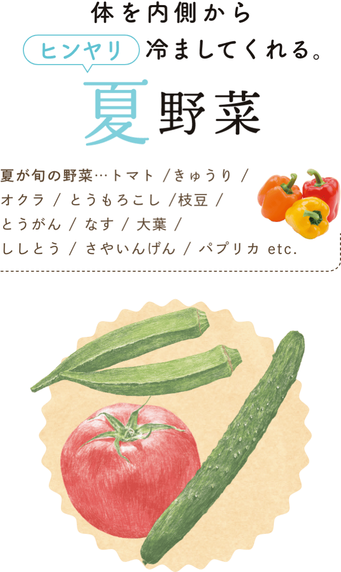 体を内側からヒンヤリ冷ましてくれる。 夏野菜 夏が旬の野菜…トマト / きゅうり /  オクラ / とうもろこし / 枝豆 / とうがん / なす / 大葉 / ししとう / さやいんげん / パプリカ etc.