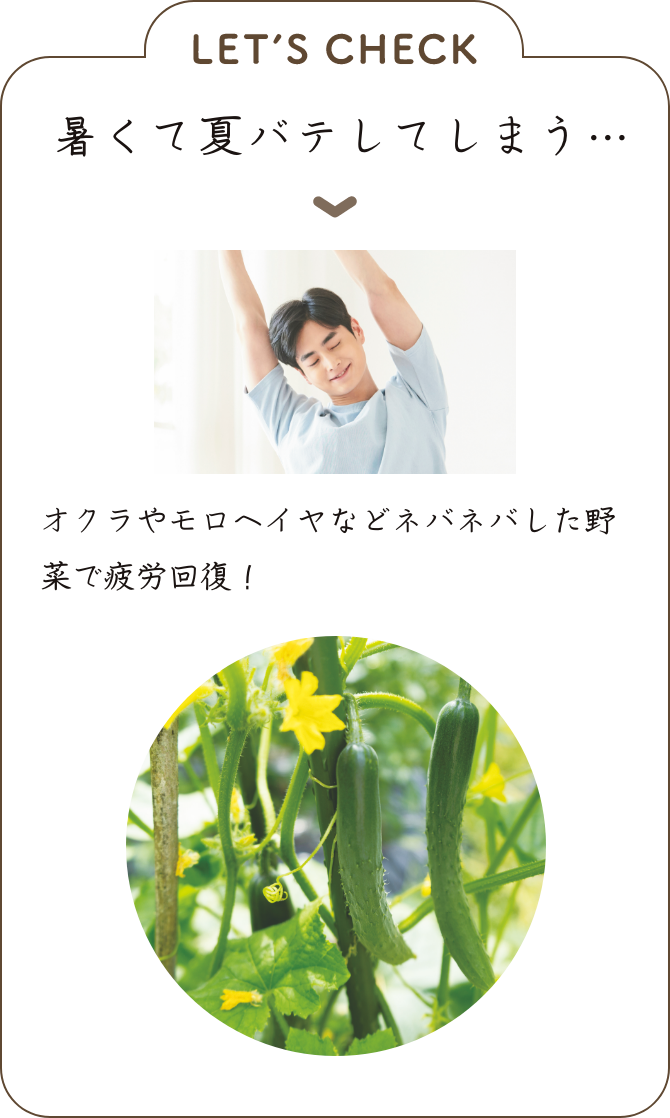 LET’S CHECK 暑くて夏バテしてしまう… ▼オクラやモロヘイヤなどネバネバした野菜で疲労回復！