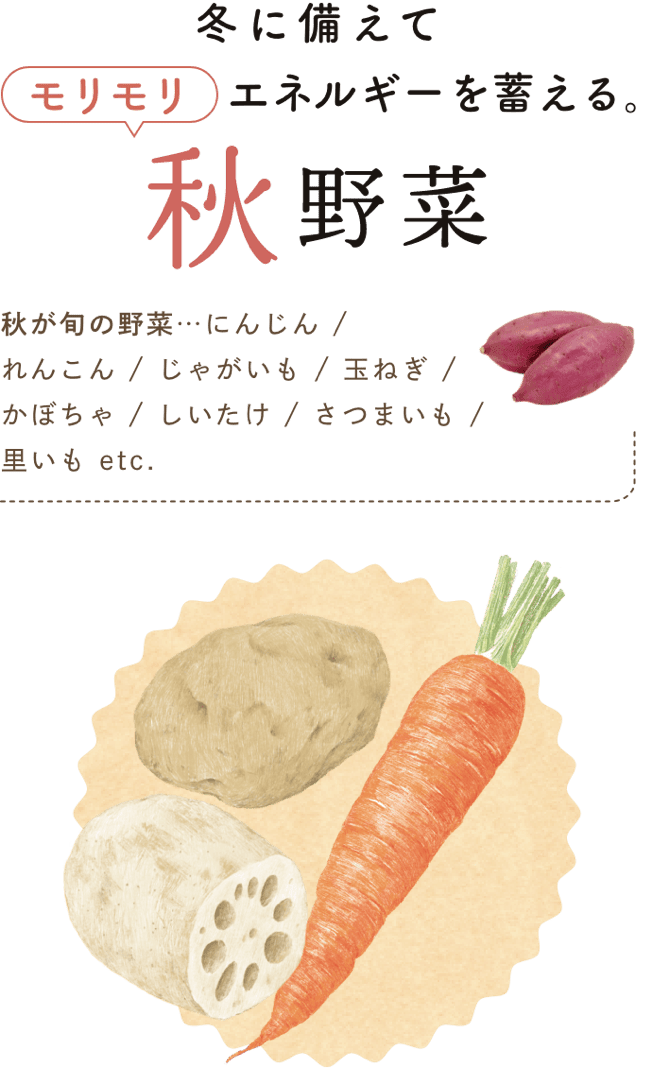 冬に備えてモリモリエネルギーを蓄える。 秋野菜 秋が旬の野菜…にんじん / れんこん / じゃがいも / 玉ねぎ / かぼちゃ / しいたけ / さつまいも / 里いも etc.