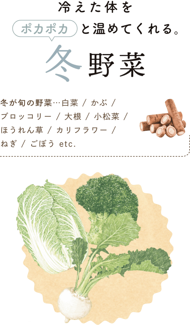 冷えた体をポカポカと温めてくれる。 冬野菜 冬が旬の野菜…白菜 / かぶ / ブロッコリー / 大根 / 小松菜 / ほうれん草 / カリフラワー / ねぎ / ごぼう etc.