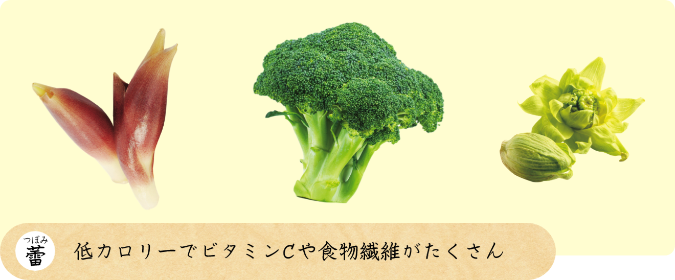 蕾（つぼみ） 低カロリーでビタミンCや食物繊維がたくさん