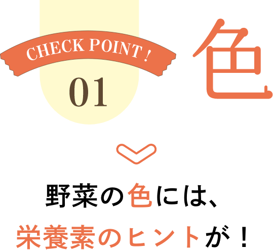 CHECK POINT 01 色 野菜の色には、栄養素のヒントが！