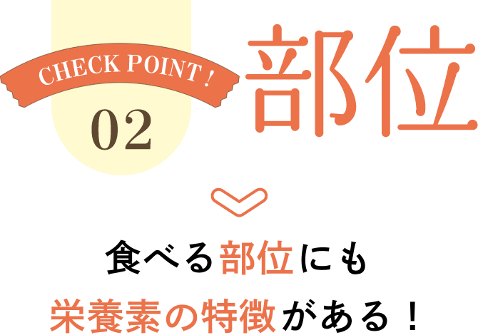 CHECK POINT 02 部位食べる部位にも栄養素の特徴がある！