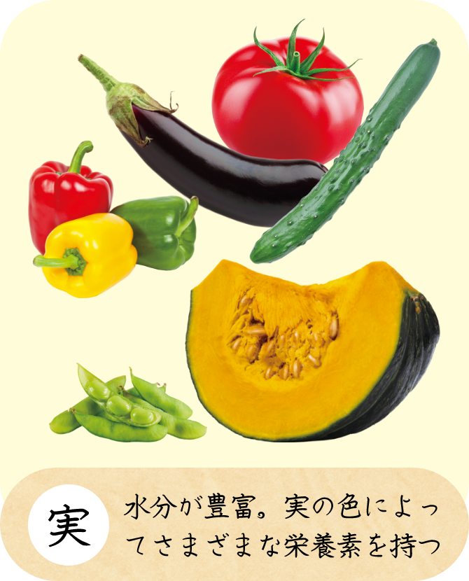 実 水分が豊富。実の色によってさまざまな栄養素を持つ