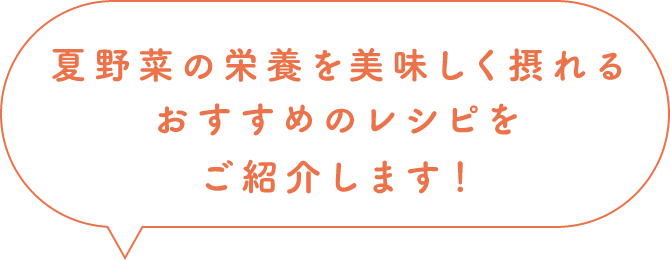 夏野菜の栄養を美味しく摂れる、おすすめのレシピをご紹介します！