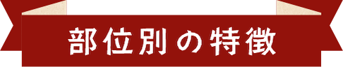 部位別の特徴