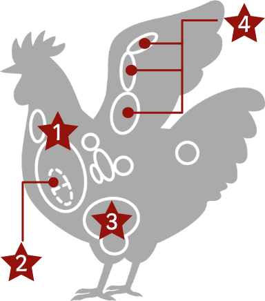4