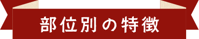 部位別の特徴