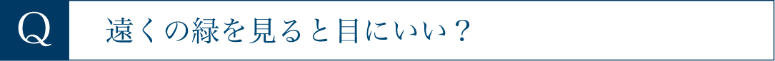 遠くの緑を見ると目にいい？