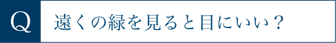遠くの緑を見ると目にいい？