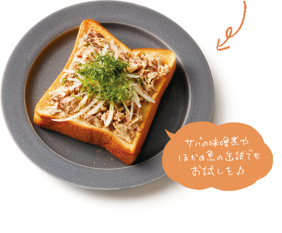 サバの味噌煮やほかの魚の缶詰でもお試しを