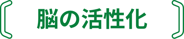 脳の活性化