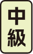 中級