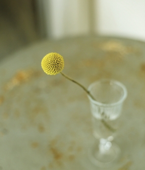 花瓶に入った黄色の花