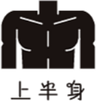 上半身