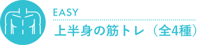 上半身の筋トレ（全4種）