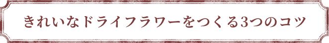 きれいなドライフラワーをつくる3つのポイント