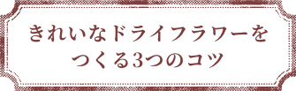 きれいなドライフラワーをつくる3つのコツ