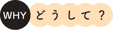 WHY どうして？