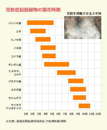 花粉症起因植物の開花時期