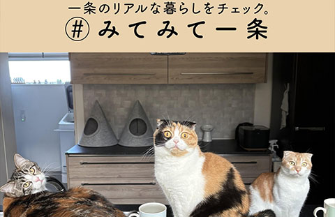 一条工務店公式インスタグラム
