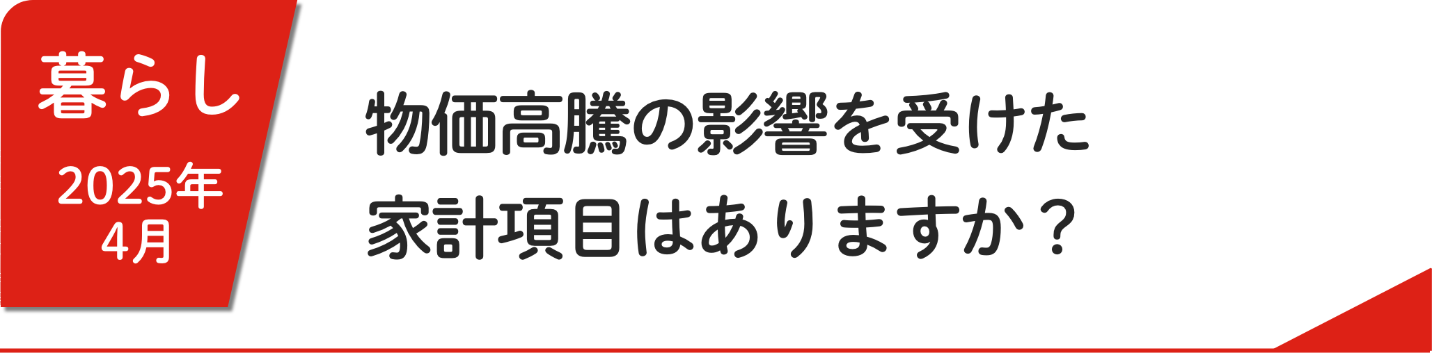 4月 物価高騰の影響を受けた家計項目はありますか？