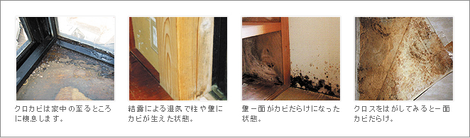 家のカビ問題 性能を追求する住宅メーカー 一条工務店 家のカビ問題 性能を追求する住宅メーカー 一条工務店