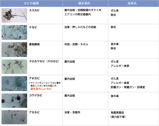 家のカビ問題 性能を追求する住宅メーカー 一条工務店