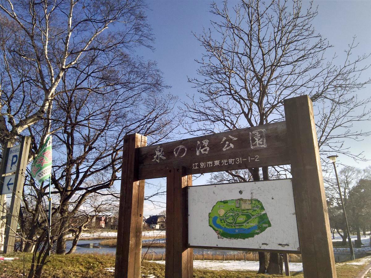 一条タウン東光町 土地 泉の沼公園まで約190m～250m（徒歩3分～4分）　大人もお子様と一緒に身体を動かすことができる公園です。ここの公園に来れば四季折々の鳥や虫、草木やお花の姿に出会うことが出来ます。