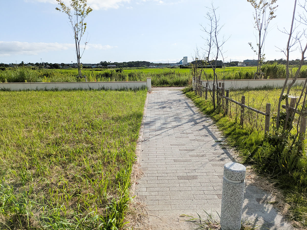 区画5-1北西側の歩道です。桜並木の方へ抜けることができるので、お散歩も楽しみですね！　