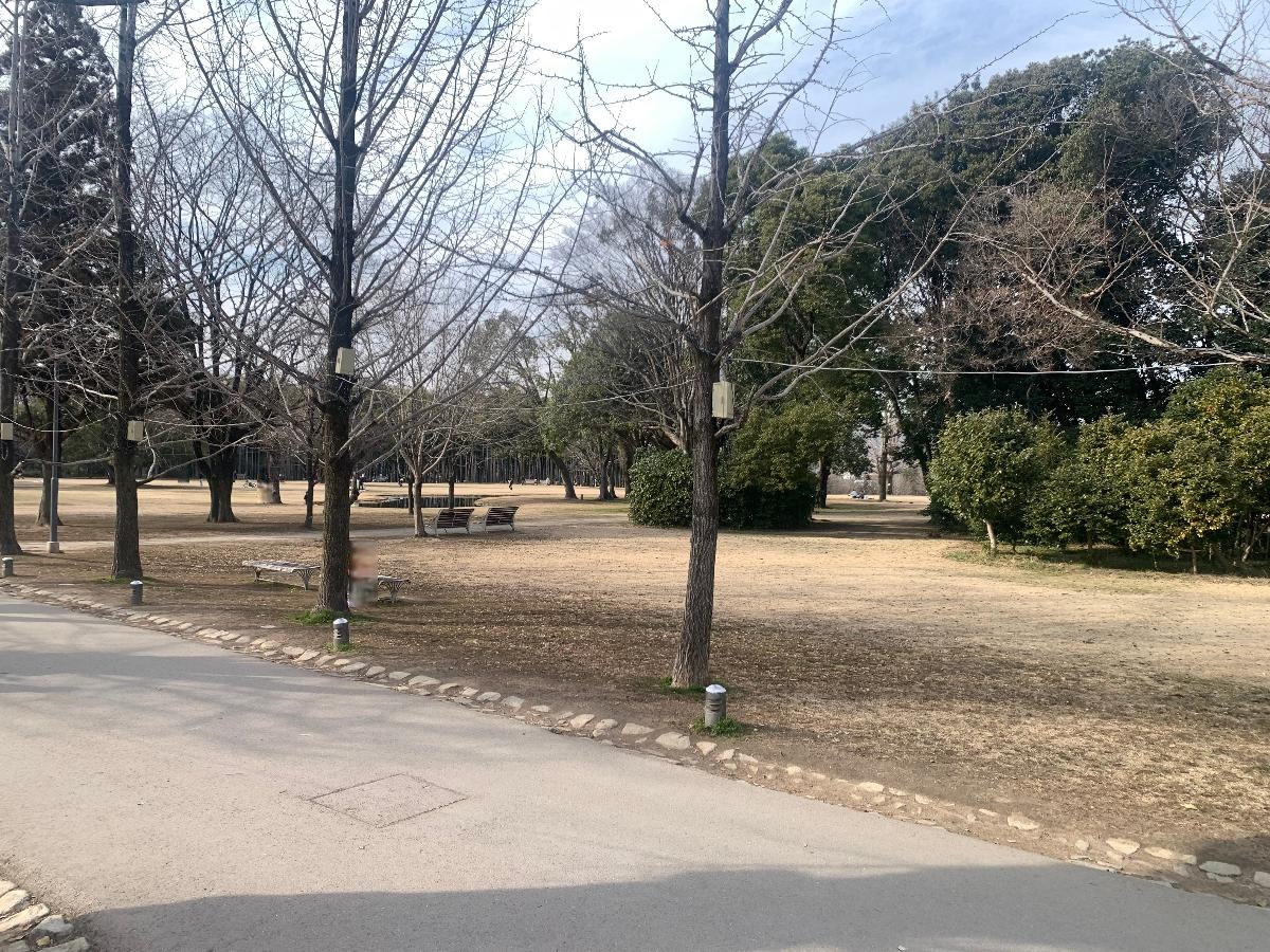 学びの森まで約1km（徒歩13分）　お散歩にぴったりの公園です。街を離れて別世界に来てしまったようなゆったりとした時間をお過ごしください。
