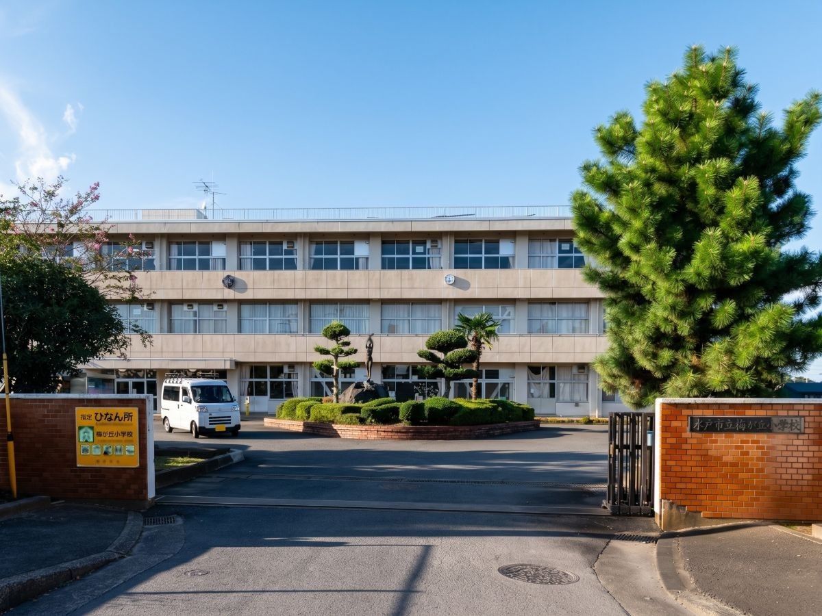 水戸市立梅が丘小学校まで約1.5km（徒歩19分）　敷地内には「どんぐり山」と呼ばれる学校林があり、自然を生かした授業も行われています。