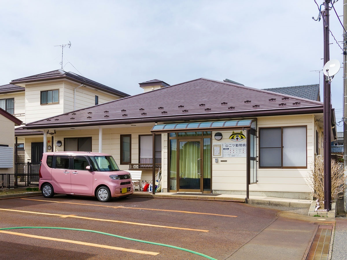 山二ツ動物病院まで約210m～270m（徒歩3分～4分）　山二ツ動物病院まで約350ｍ（徒歩5分）
犬、猫、ウサギ、ハムスターなどの小動物も対応。
ペットに対する漢方治療、鍼灸治療の併用も行っています。