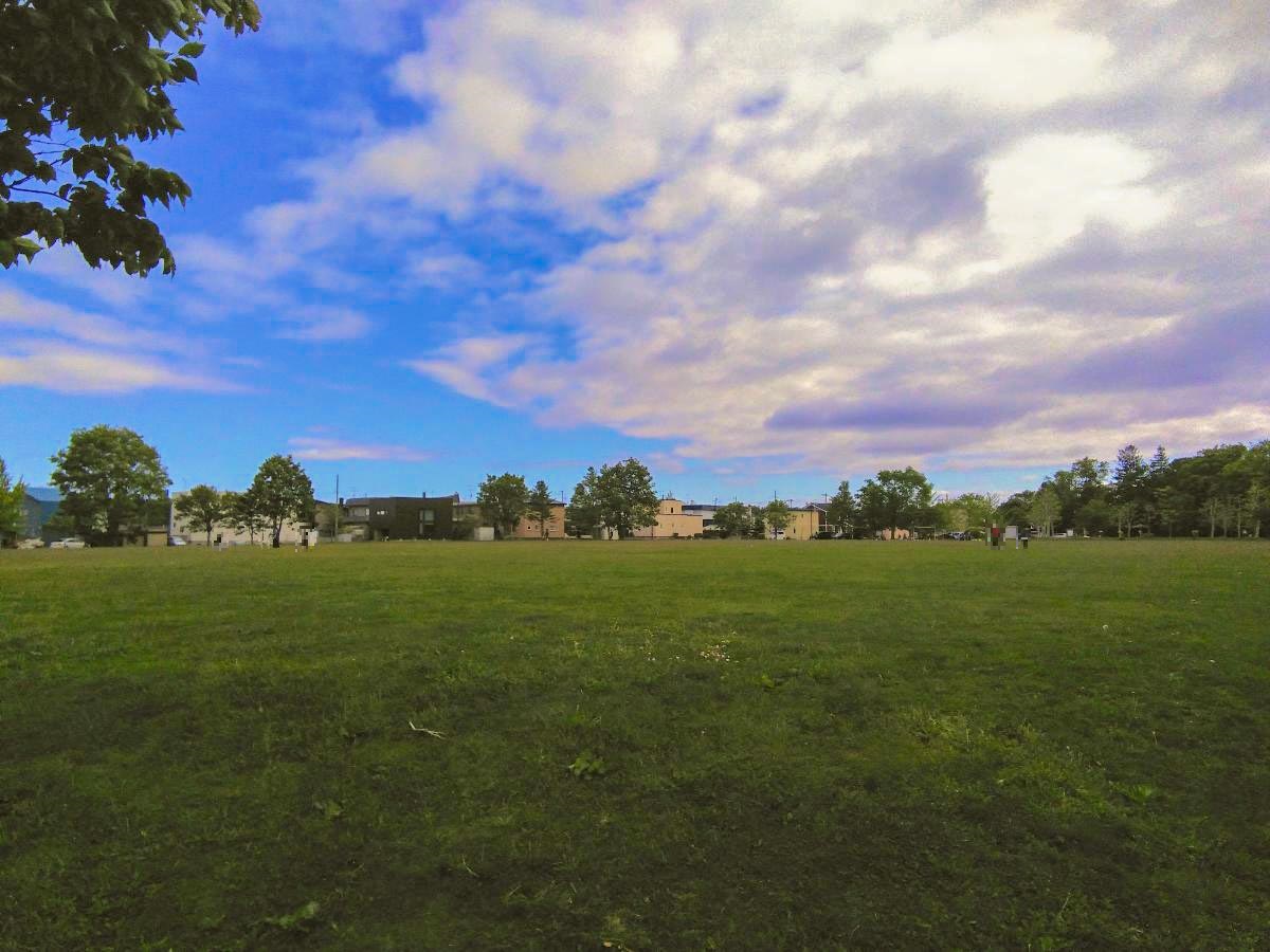 湯川公園まで約60m（徒歩1分）　年齢に応じた遊具があり、小さなお子さんでも安心して遊ばせることができます。広場や木陰、丘があり赤ちゃんからお年寄りまでみんなが楽しめる公園です。